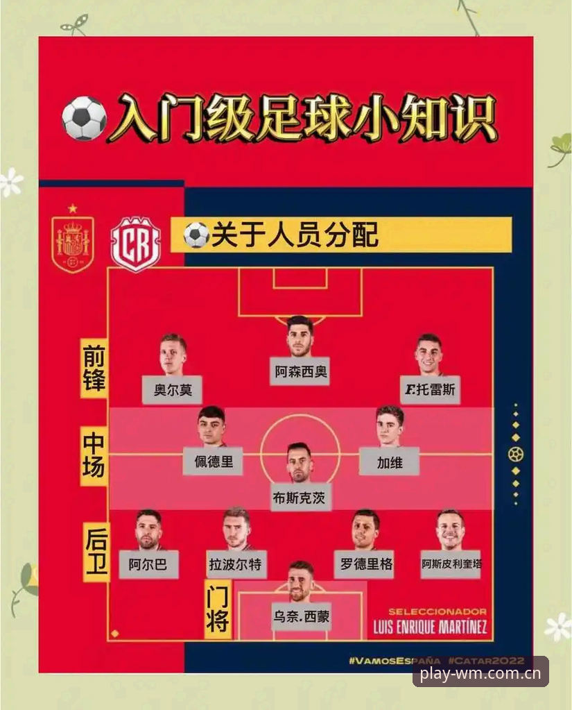 世界杯观赛受阻实用应对指南：签证困境与替代观赛方案