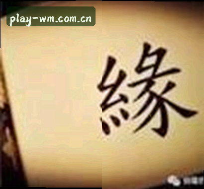 刘洋