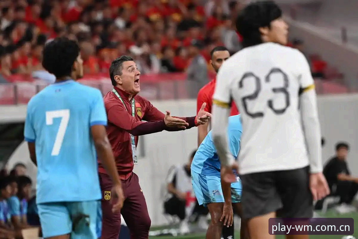 2030世界杯扩军至66队深度解析：中国男足能否借势突破？